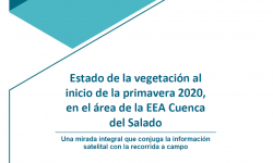 Informe del Estado de la vegetación al inicio de la primavera 2020 para la Cuenca del Salado